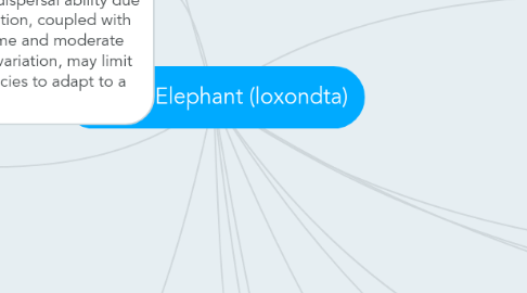 Mind Map: African Elephant (loxondta)