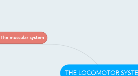 Mind Map: THE LOCOMOTOR SYSTEM