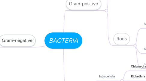 Mind Map: BACTERIA