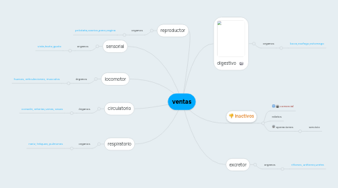 Mind Map: ventas