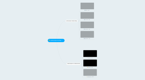 Mind Map: CAPACIDAD MOTRIZ