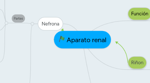 Mind Map: Aparato renal