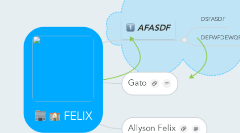 Mind Map: FELIX