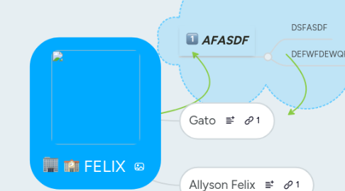 Mind Map: FELIX