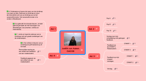 Mind Map: Judith van Aaken OAO3B