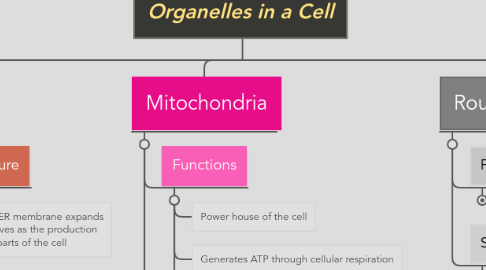 Mind Map: Organelles in a Cell