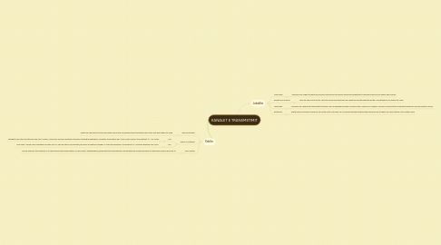 Mind Map: KANALET E TRANSMETIMIT