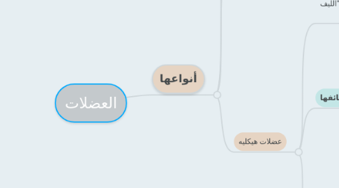 Mind Map: العضلات