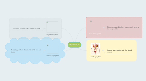 Mind Map: NUTRITION