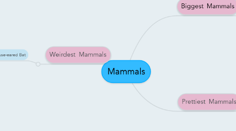 Mind Map: Mammals