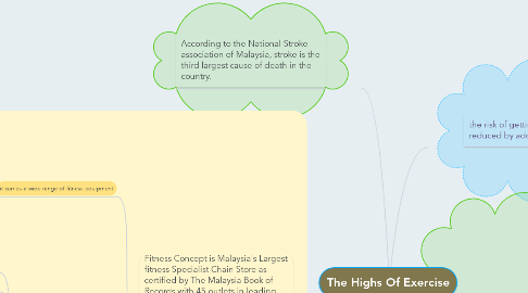 Mind Map: The Highs Of Exercise