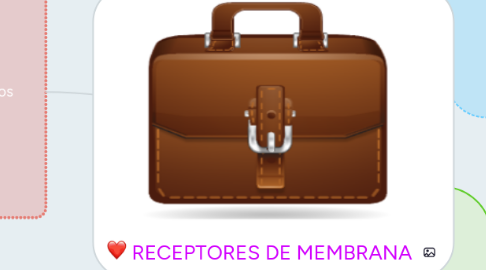 Mind Map: RECEPTORES DE MEMBRANA