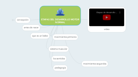 Mind Map: ETAPAS DEL DESARROLLO MOTOR NORMAL