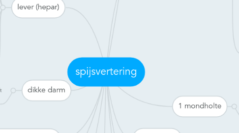 Mind Map: spijsvertering