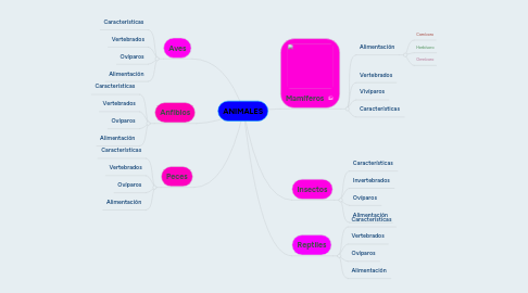 Mind Map: ANIMALES