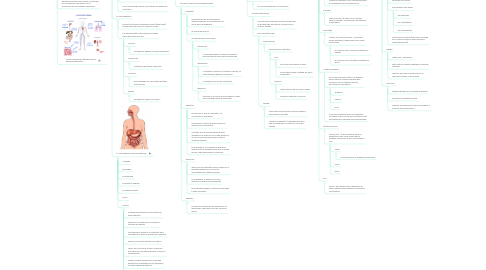 Mind Map: Biología Tema 3