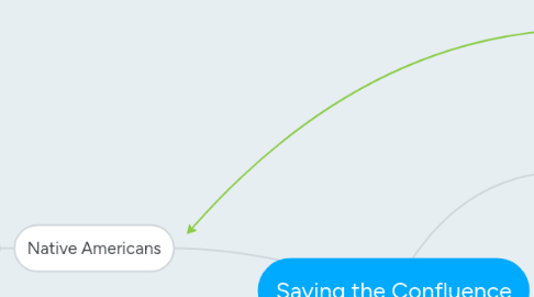 Mind Map: Saving the Confluence