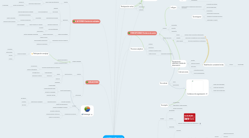 Mind Map: CUATRO CIRCULOS