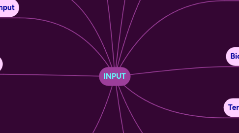 Mind Map: INPUT