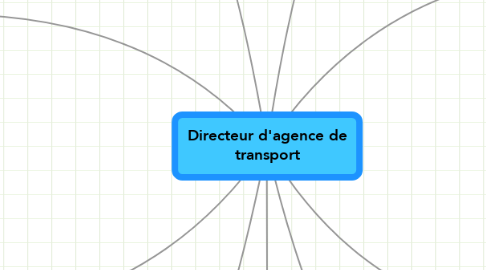 Mind Map: Directeur d'agence de transport