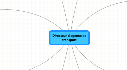 Mind Map: Directeur d'agence de transport