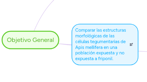 Mind Map: Objetivo General