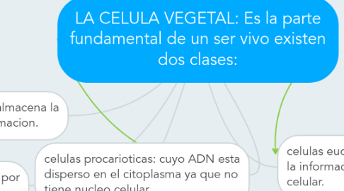 Mind Map: LA CELULA VEGETAL: Es la parte fundamental de un ser vivo existen dos clases: