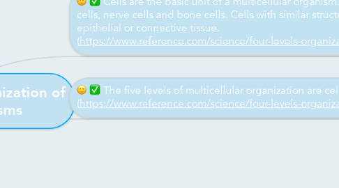 Mind Map: Hierarchical Organization of Multicellular Organisms