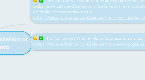 Mind Map: Hierarchical Organization of Multicellular Organisms