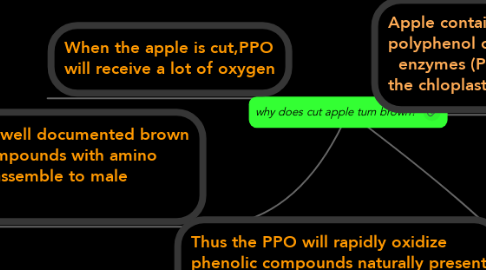 Mind Map: why does cut apple turn brown?
