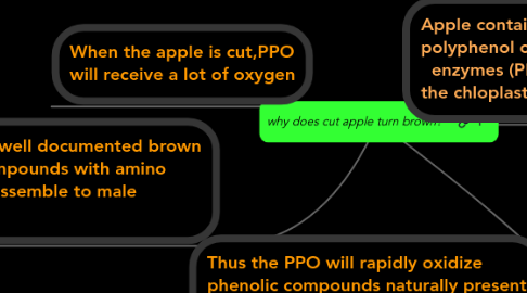 Mind Map: why does cut apple turn brown?