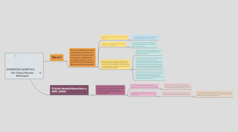 Mind Map: EXPRESIÓN GENÉTICA Por: Eliana Marcela Bohórquez