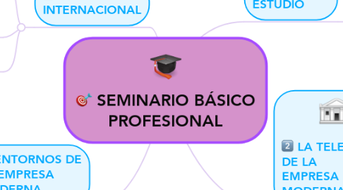 Mind Map: SEMINARIO BÁSICO PROFESIONAL