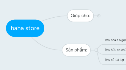 Mind Map: haha store