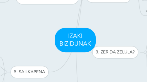 Mind Map: IZAKI BIZIDUNAK