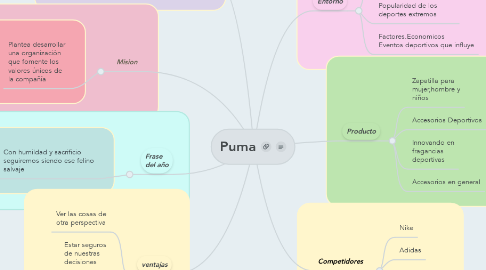 Mind Map: Puma
