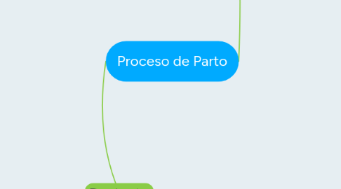 Mind Map: Proceso de Parto