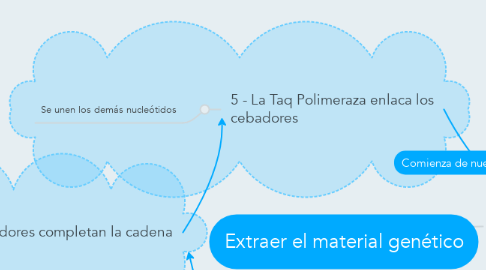 Mind Map: Extraer el material genético