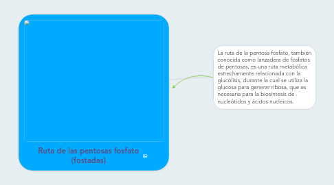 Mind Map: Ruta de las pentosas fosfato (fostadas)