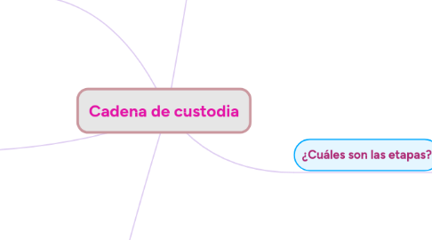 Mind Map: Cadena de custodia