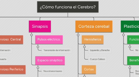 Mind Map: ¿Cómo funciona el Cerebro?