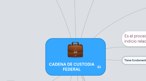 Mind Map: CADENA DE CUSTODIA FEDERAL