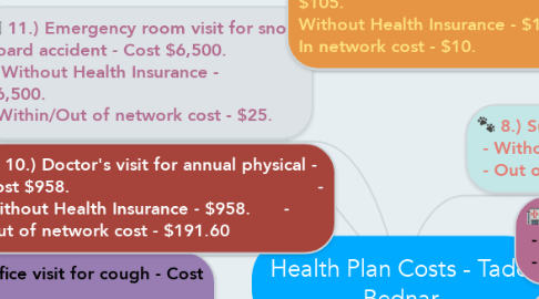 Mind Map: Health Plan Costs - Tadd Bednar