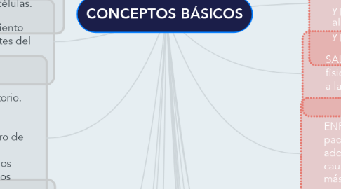 Mind Map: CONCEPTOS BÁSICOS