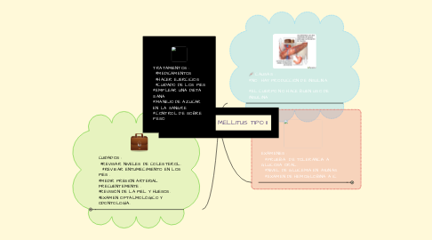 Mind Map: DIABETES MELLITUS TIPO II