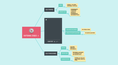 Mind Map: SISTEMA OSEO