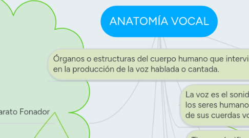 Mind Map: ANATOMÍA VOCAL