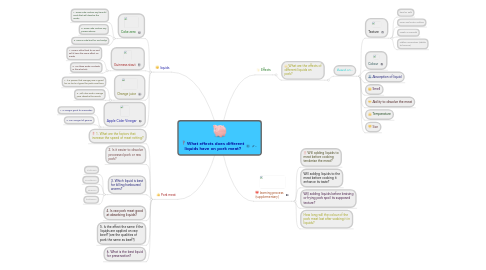 Mind Map: What effects does different liquids have on pork meat?