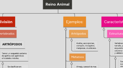 Mind Map: Reino Animal