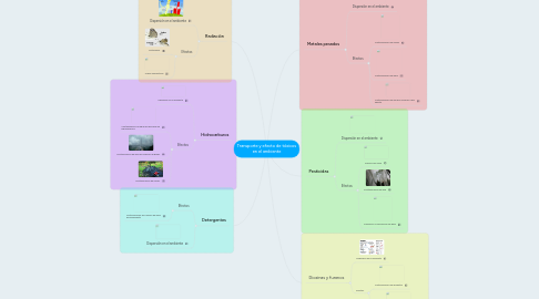 Mind Map: Transporte y efecto de tóxicos en el ambiente